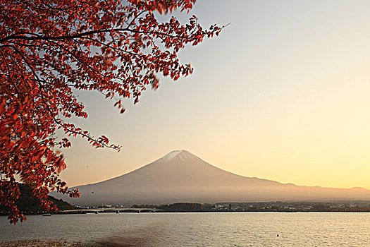 日本富士山红叶