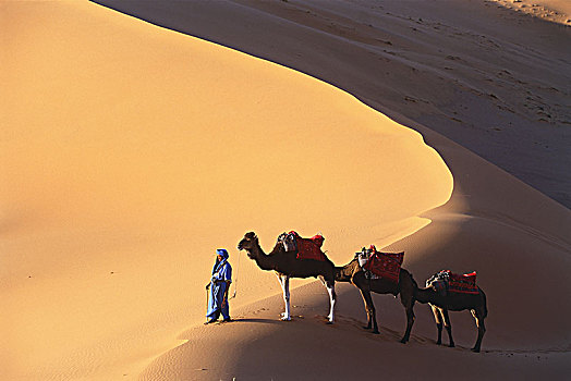 俯拍,男人,三个,骆驼,沙漠