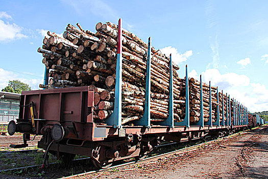 运输,木头,列车