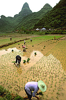 彩色,景色,中国