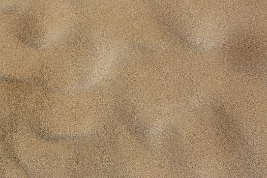 表面,沙子,小