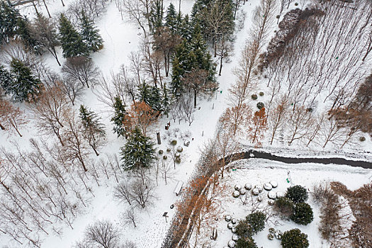 河南三门峡,国家湿地公园雪后美景如画