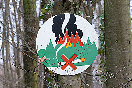 禁止吸烟,树林,危险,警告标识,树,黑森州,德国,欧洲
