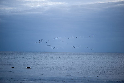 海景