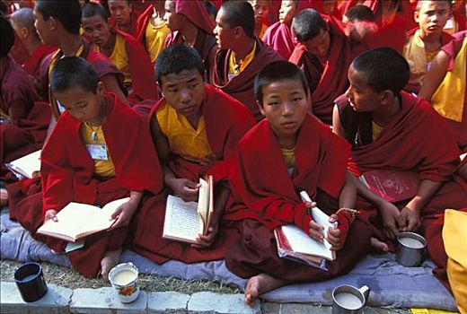 比哈尔邦,佛教,新信徒,僧侣