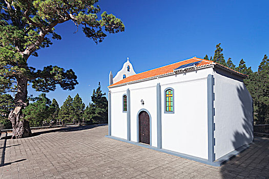 小教堂,加那利群岛,松树,埃尔帕索,帕尔玛,加纳利群岛,西班牙,欧洲