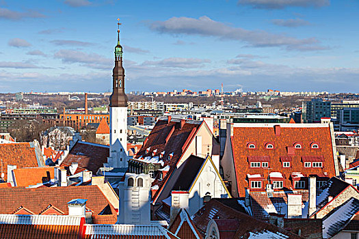 城市,全景,老,塔林,爱沙尼亚,房子,红色,屋顶,神圣,教堂塔