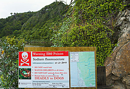 警告标识,警告,毒物,远足,宠物主人,南岛,新西兰