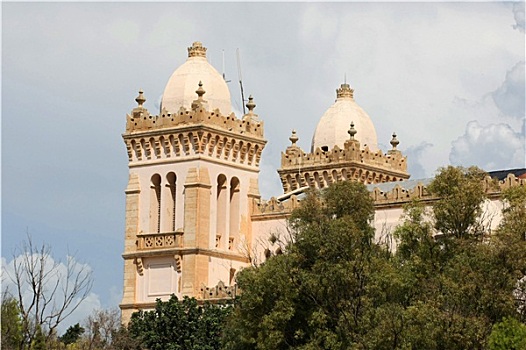 圣路易斯,大教堂,突尼斯
