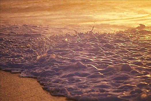 夏威夷,海水泡沫,海岸线,日落