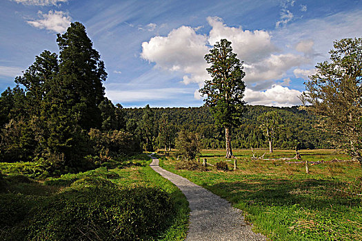 马瑟森湖lake,matheson