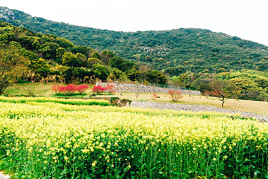 舟山大青山