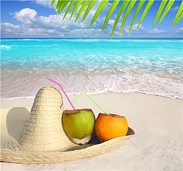 椰子,加勒比,海滩,墨西哥,阔边帽,帽子