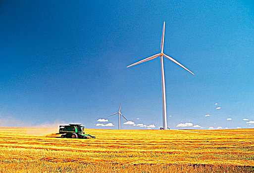 联合收割机,收获,风轮机,背景,曼尼托巴,加拿大