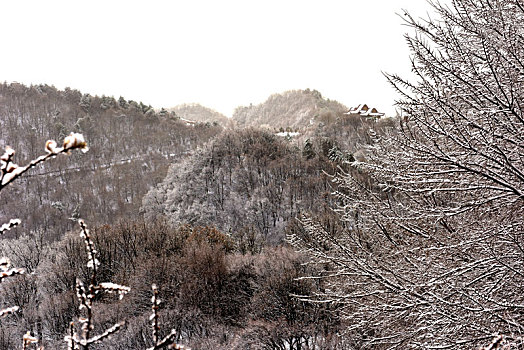 红石公园雪景