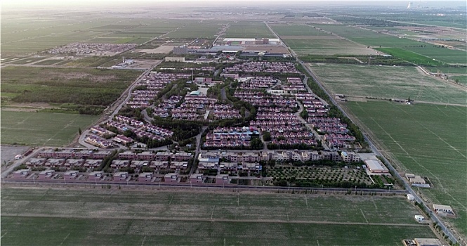 新疆哈密,兵团城镇化,别墅区如一,芭蕉扇