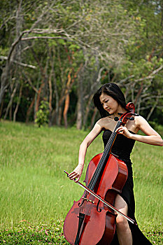 女人,玩,大提琴,围绕,自然