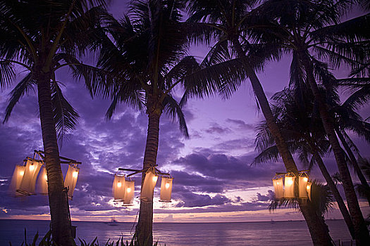 灯笼,光亮,棕榈树,长滩岛,西部,米沙鄢,菲律宾