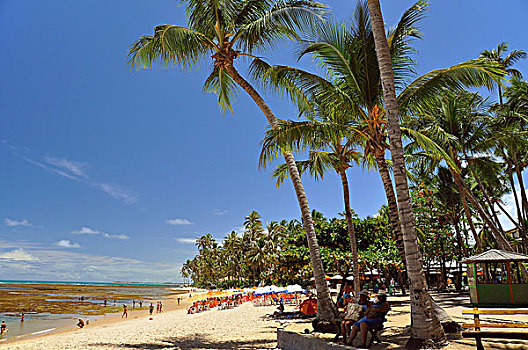 海滩,巴西,南美