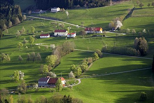 农舍,绿色,草地,景色,道路,下奥地利州