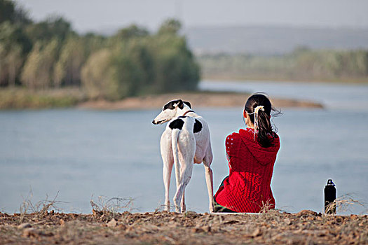 水边少女和猎犬