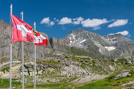 瑞士,旗帜,攀升