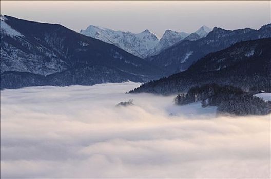 薄雾,上方,湖,萨尔茨卡莫古特,上奥地利州,欧洲