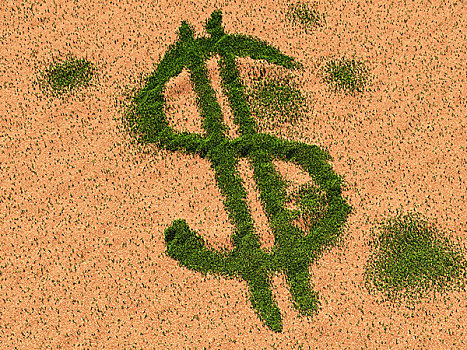美元,标识,草,沙,地面