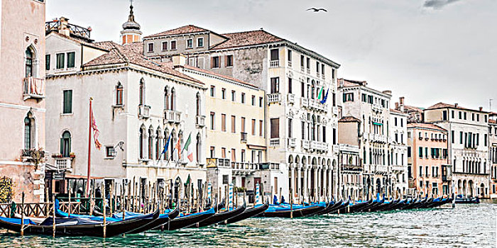 建筑,大运河,威尼斯,意大利,威尼托
