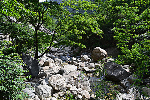 华山旅行