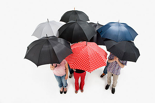 一群人,女人,站立,伞