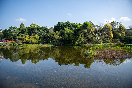 海珠湿地公园