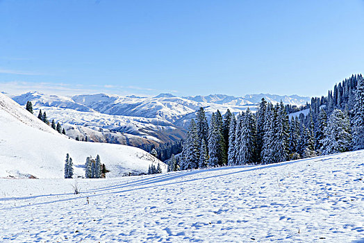 那拉提牧场雪景