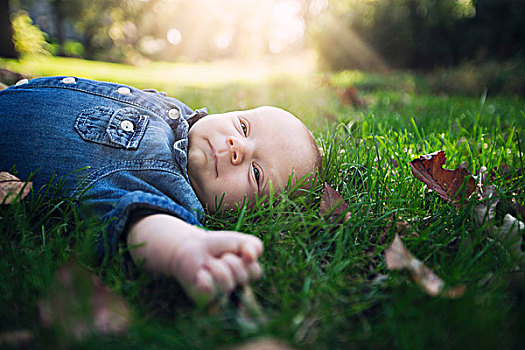 男婴,穿,牛仔衫,躺着,秋叶,遮盖,草,阳光,看别处