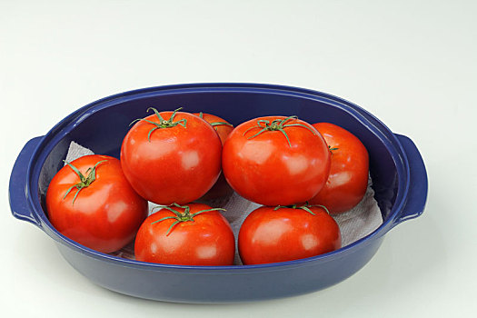 红色,西红柿,蓝色,碗