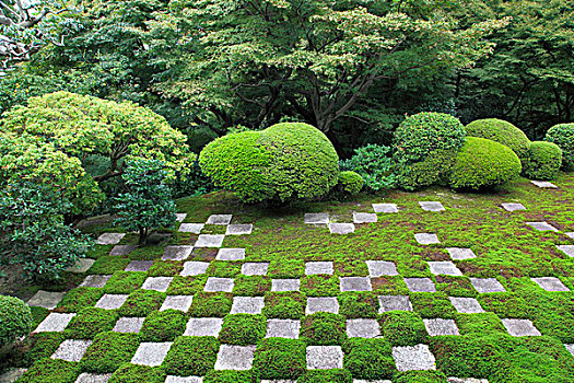 日本,京都,庙宇,花园