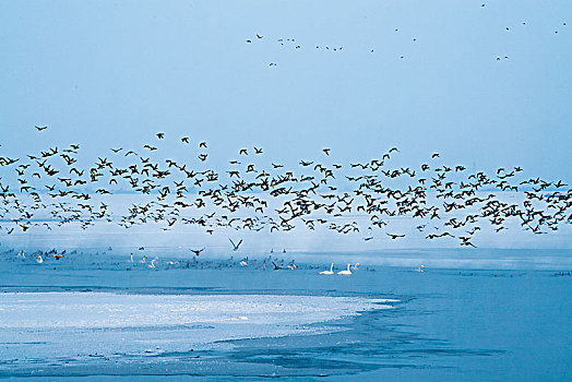 湖泊,冰,冬天,宁静,寒冷,湖面,天空