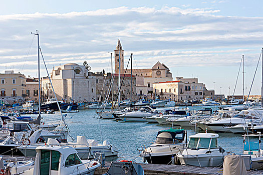 港口,特拉尼,大教堂,后面,海洋,阿普利亚区,意大利南部,意大利,欧洲