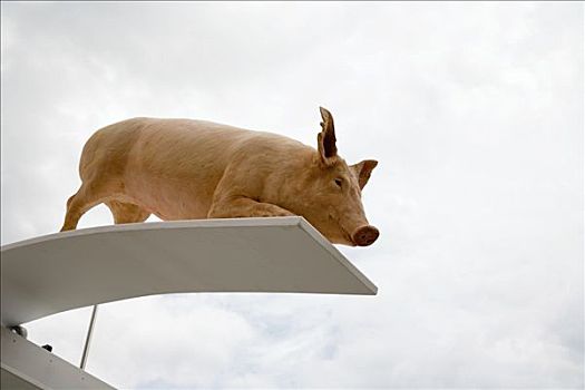 猪,跳板,公共雕塑,布拉格