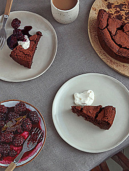 巧克力蛋糕,冬天,黑莓