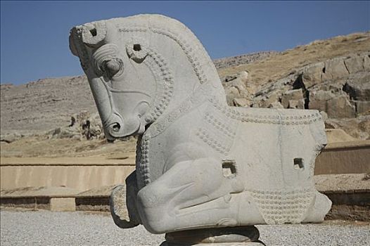 马,雕塑,波斯波利斯,伊朗