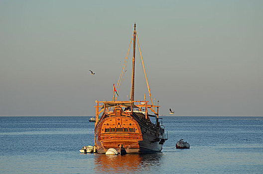 独桅三角帆船,港口,马斯喀特,区域,阿曼,亚洲