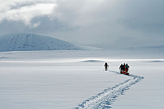 旅游,越野滑雪,山景