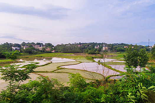 湘南田园风光