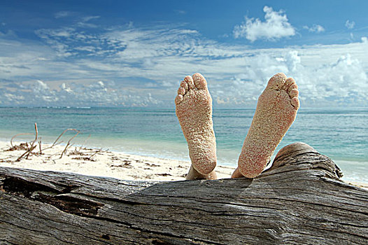 女人,躺着,海滩,翘脚,树干,岛屿,塞舌尔,非洲