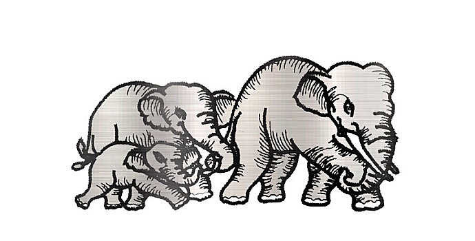 大象,动物,哺乳动物,野生