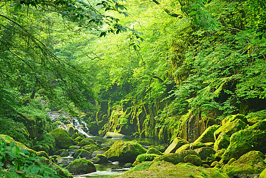 翠绿,峡谷,熊本,日本