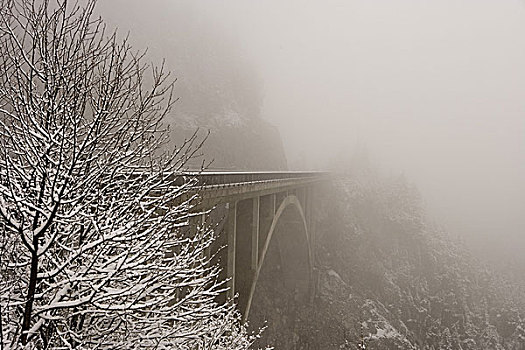 奥地利,提洛尔,高架桥,雾,冬天