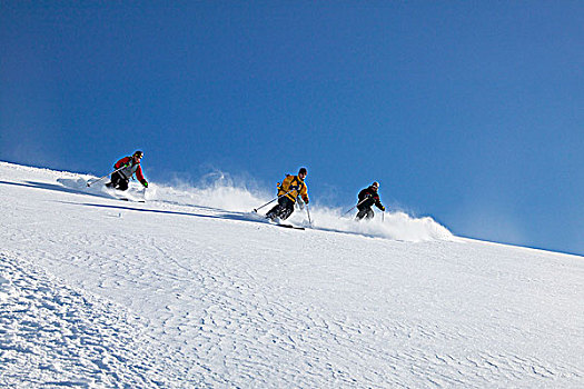 滑雪,海岸,山峦,不列颠哥伦比亚省,加拿大