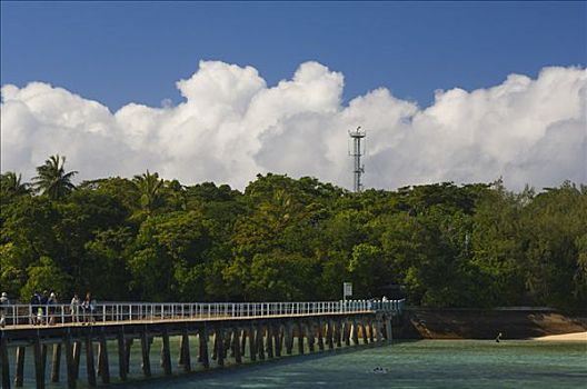 绿色,岛屿,大堡礁,昆士兰,澳大利亚